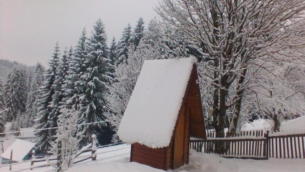 Marichka Hotel Iablunîțea Exterior foto
